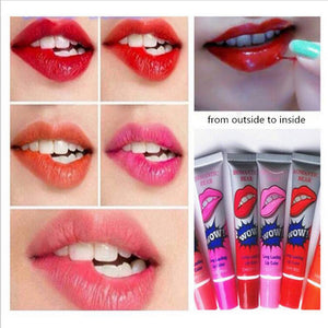 Matte Tint Lip Gloss Lipstick